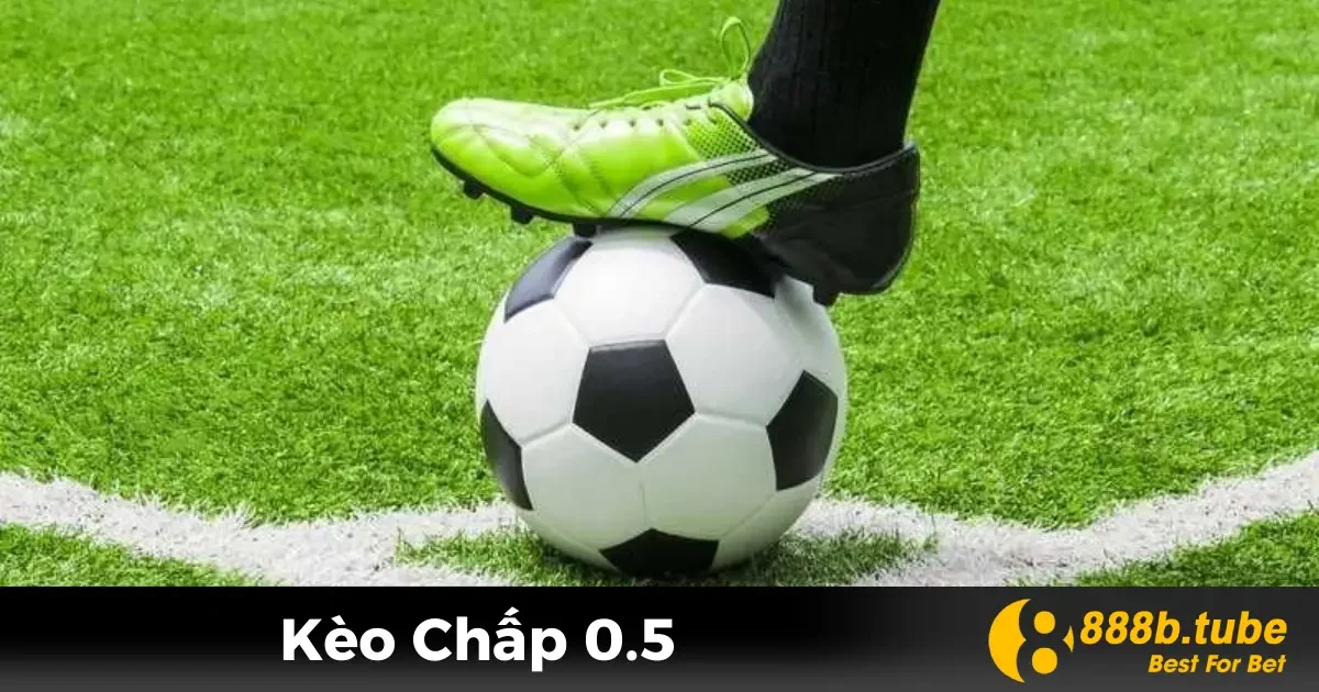 Kèo Chấp 0.5 Là Gì? Hướng Dẫn Đặt Cược Cho Người Mới 2 Định Nghĩa Kèo Chấp 0.5: Cách Hiểu Đơn Giản