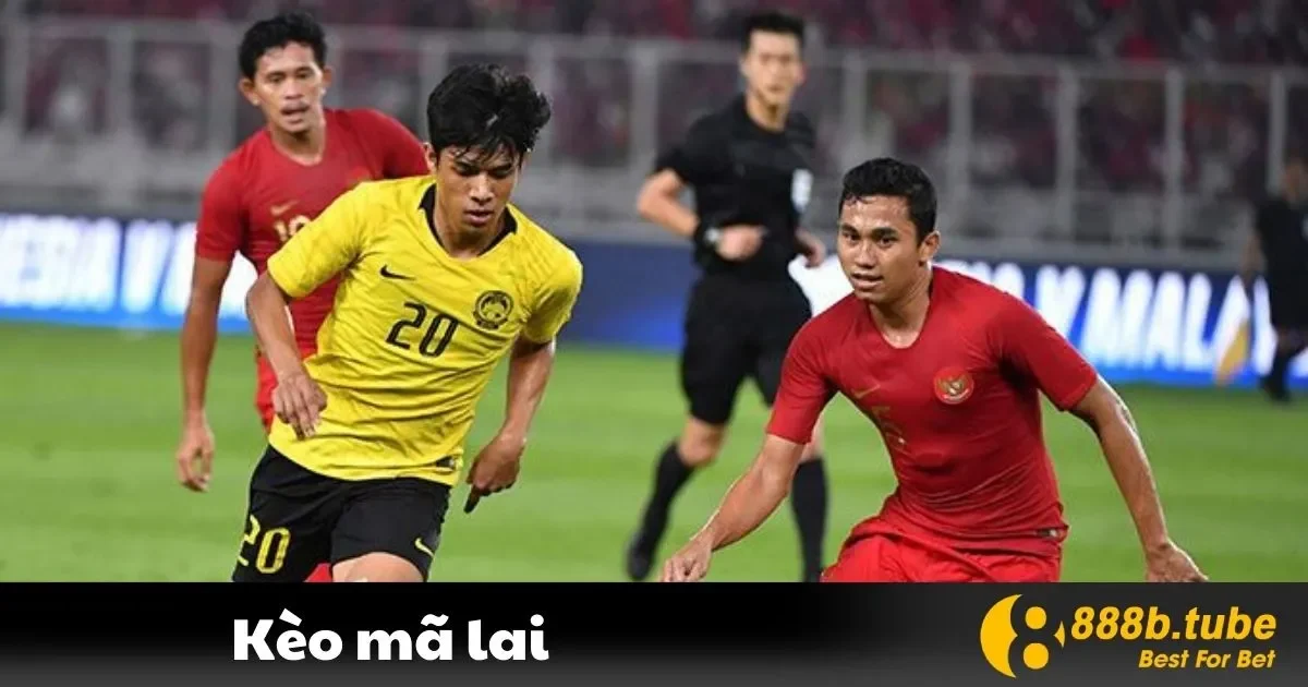 Kèo Mã Lai Là Gì? Hướng Dẫn Cách Chơi Tại Nhà Cái 888B