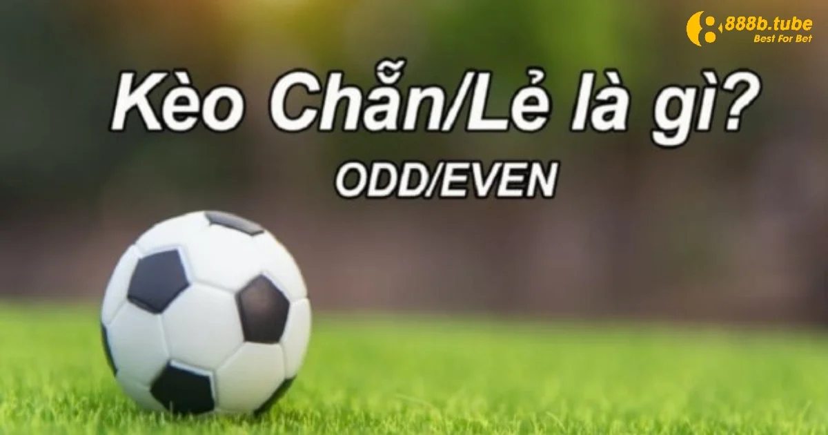 Kèo Chẵn Lẻ Là Gì? Cách Đọc Kèo Dễ Hiểu Nhất Tại 888B 3 Người chơi sẽ nhận được nhiều lợi ích khi chọn chơi kèo chẵn lẻ 888B